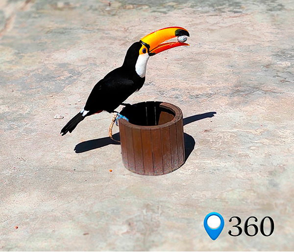 Tucan Viajo360 web1